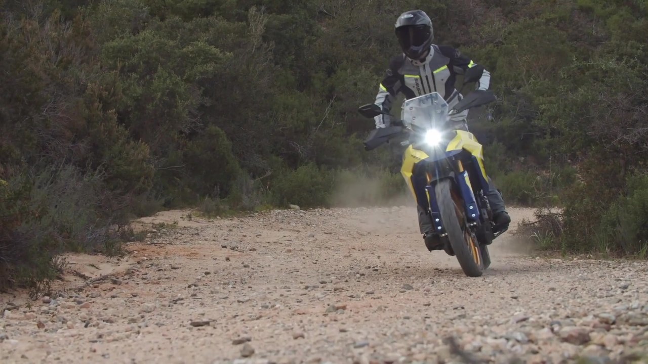 SUZUKI V-Strom 800DE - Die Antriebe