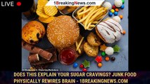 Does this explain your sugar cravings? Junk food physically rewires brain - 1breakingnews.com
