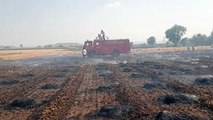 Fierce fire in 12 acres of wheat crop