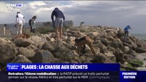 Les collectes de déchets ont commencé sur les plages françaises
