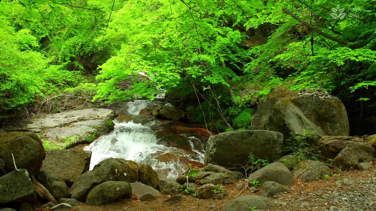 Rainforest Retreat: 1 Hour of Soothing Small River Sounds for Sleep and Meditation