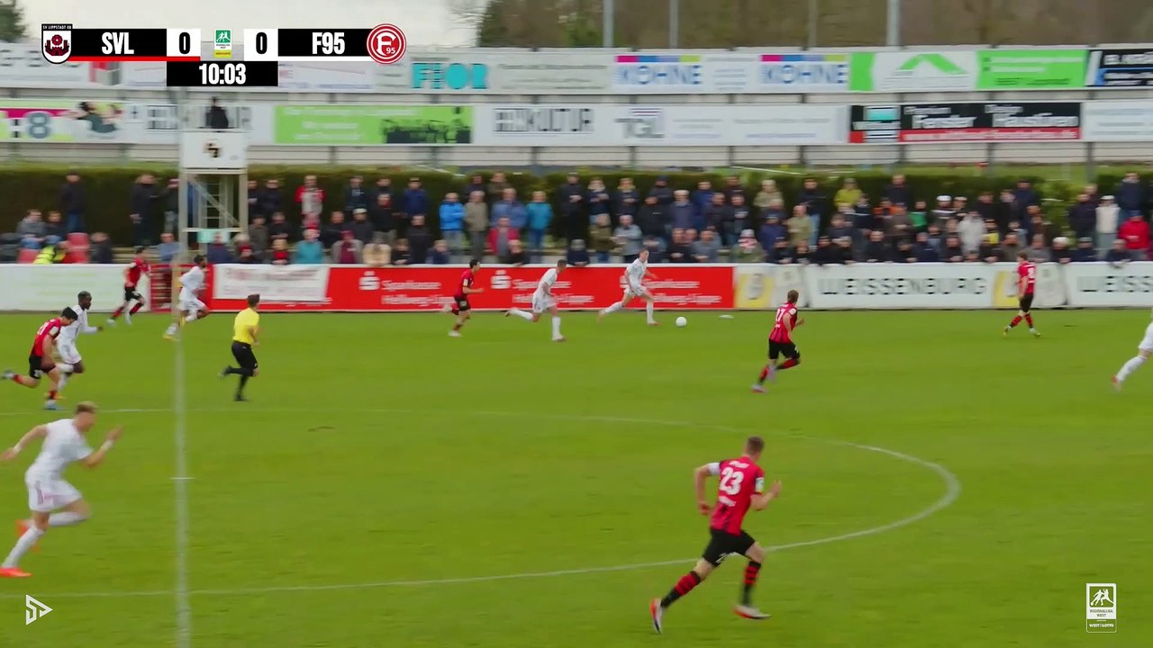 Highlights SVL F95 dropbox