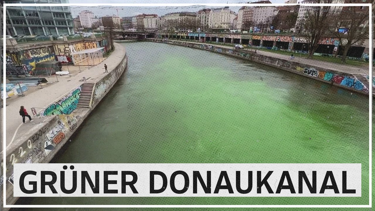 Extinction Rebellion färbte Donaukanal grün ein