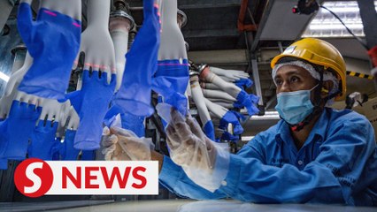 Govt steps up promotion to boost export of rubber products