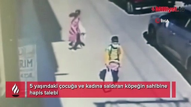 5 yaşındaki çocuğa ve kadına saldıran köpeğin sahibine hapis talebi