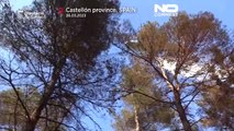 Spagna: incendio boschivo rade al suolo 4.000 ettari di terreno