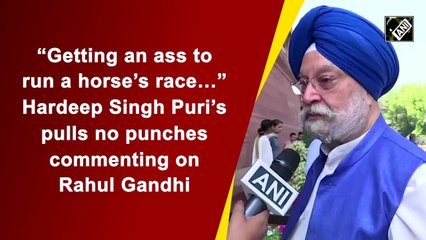 'Getting an ass to run a horse’s race': Hardeep Singh Puri’s comments on Rahul Gandhi