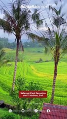 Selamat pagi semeton dari Tabanan, Bali