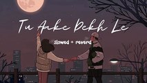 Tu Aake Dekh le  [Slowed   Reverb ]