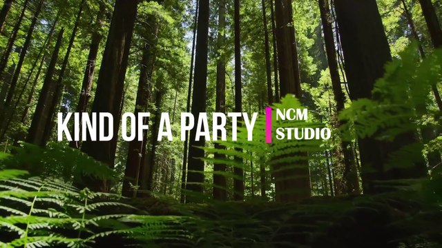 Kind of a Party - Mini Vandals_ RnB Music, Soul Music, Funky Music @NCMstudio18