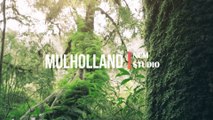 Mulholland - King Canyon- RnB Music, Soul Music, Funky Music @NCMstudio18