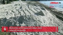 Bodrum'da sahile beyaz kum döken otelin çalışması durduruldu