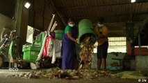 Eco India: Turning agricultural waste into energy in Tamil Nadu