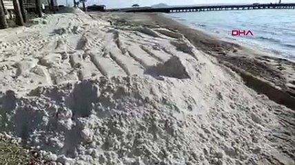 Bodrum'da zabıtadan beyaz kum dökümüne müdahale