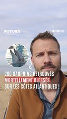Un désastre écologique causé par l'Homme encore une fois... #science