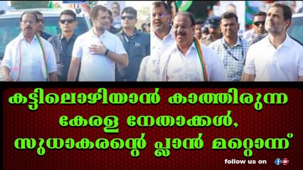 വയനാട്ടിൽ കണ്ണുവെച്ച് കെ സി മുതൽ ബൽറാമും സിദ്ധിക്കും വരെ.