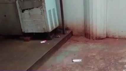 छतरपुर: निरीक्षण व निर्देशों से नहीं सुधर रहीं जिला अस्पताल की व्यवस्थाएं,देखें हाल