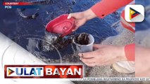 19-K manggagawa sa Oriental Mindoro, apektado dahil sa oil spill