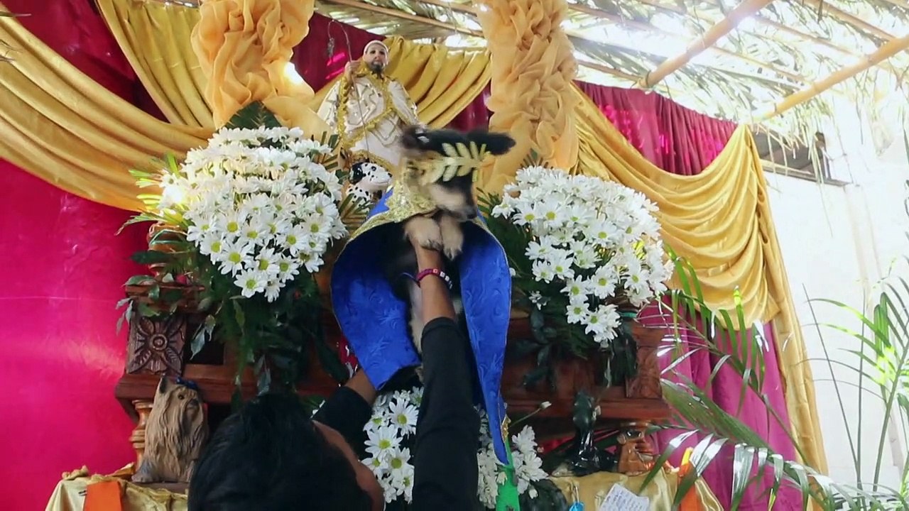 Au Nicaragua, des maîtres prient Saint Lazare pour protéger leur chien