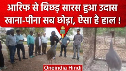 UP: Arif से बिछड़कर उदास हुआ Saras, छोड़ दिया खाना-पीना, डॉक्टर्स कर रहे देखरेख | वनइंडिया हिंदी