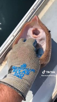 Poisson qui rit! vous fera rire inévitablement #best_video_tiktok