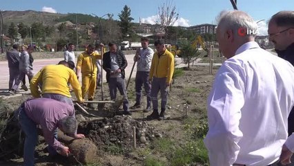 Taşova Millet Bahçesi'ne 3 bin 500 fidan