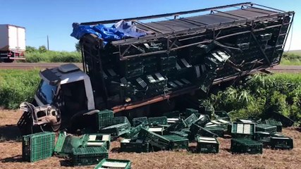 Grave acidente na BR-277 envolve dois caminhões e um carro; quatro pessoas se ferem, inclusive, gestante