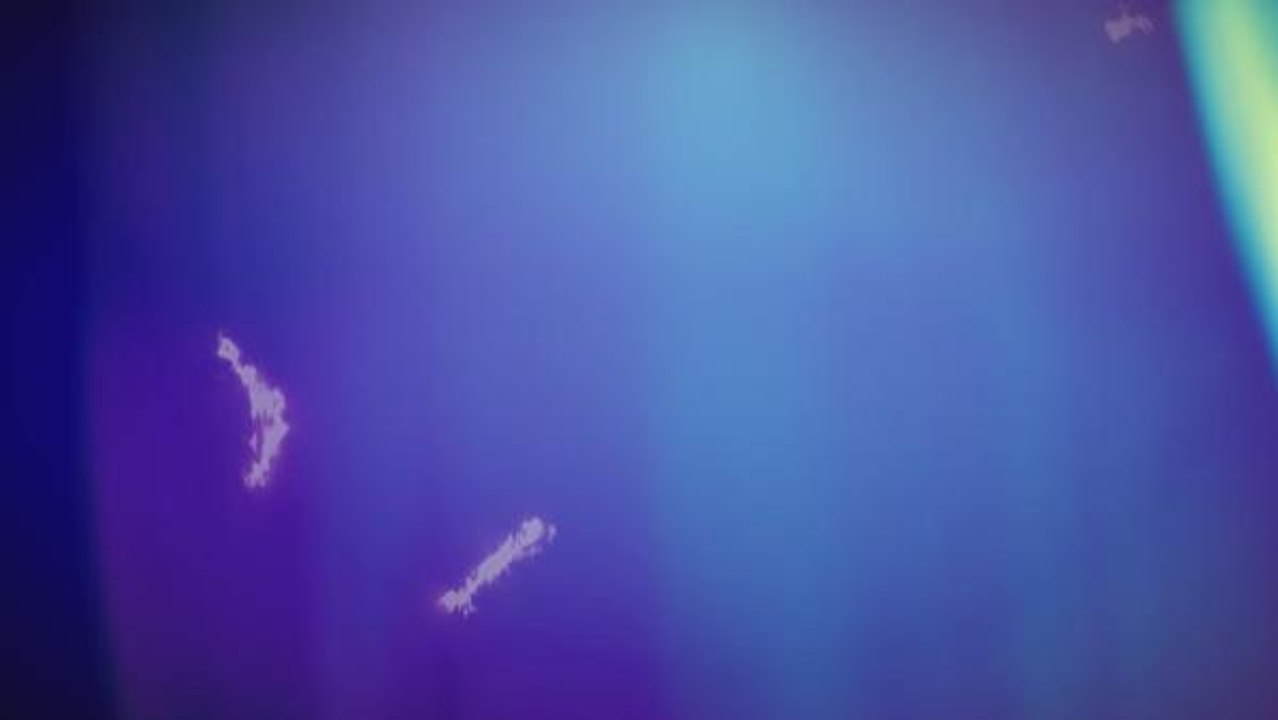 Antonio Conte - Tottenham career in numbers