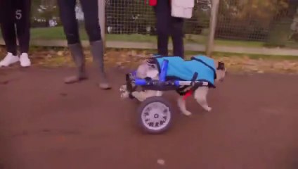 Challenge Anneka S1 Ep 1 - S01E01 part 1/1