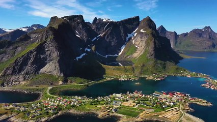 Norway's Wildlife in their Natural Habitat