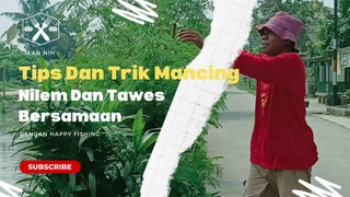 Tip Dan Trik Mancing Nilem Dan Tawes Bersamaan