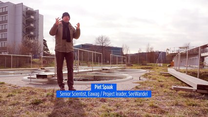 'A catastrophe for the ecosystem': What does the future hold for Lake Constance?