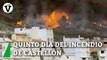 Efectivos luchan para que el incendio de Castellón no llegue a la localidad de Montán