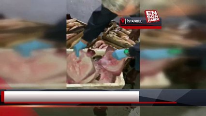 Beylikdüzü’ndeki su ürünleri hali denetimden geçti: 2 ton balığa el konuldu