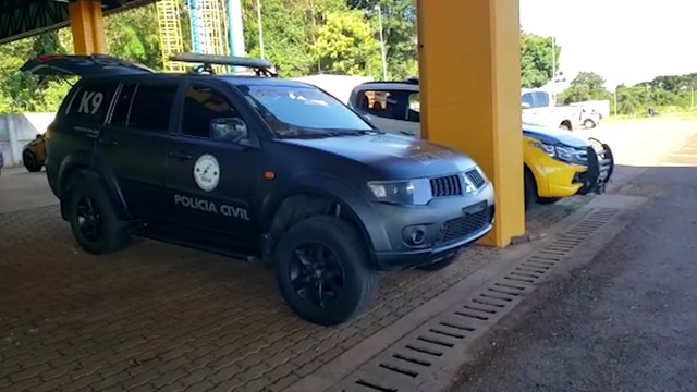 Equipes da PRF, PRE, Adapar e Denarc seguem com Operação Safra na BR-277, em Cascavel