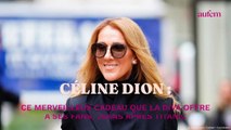 Céline Dion : ce merveilleux cadeau que la diva offre à ses fans, 25 ans après Titanic
