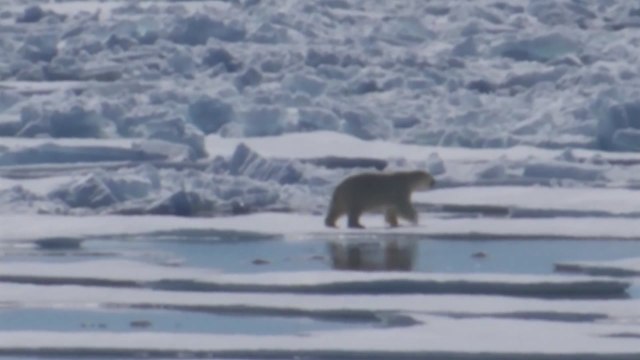 지구 온도 1.5℃ 상승 불가피 ...기술 문제 해결되면 한국이 유리 / YTN
