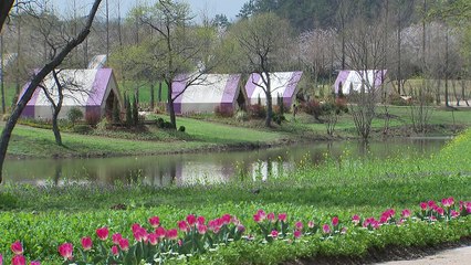 개막 닷새 앞둔 순천만 국제정원박람회...관광객 맞이 준비 끝 / YTN