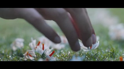 5 cute love story movies hindi __ Eval movie review