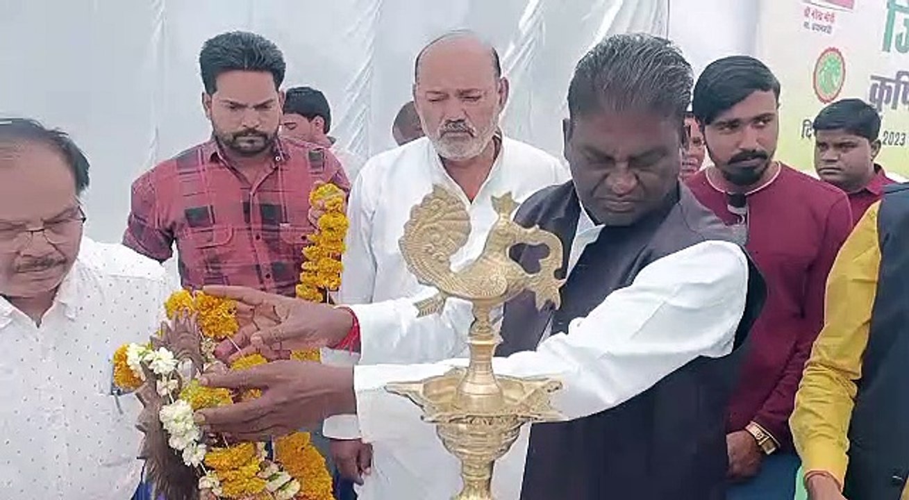 जैविक खेती कर कम लागत में अधिक मुनाफा कमाएं