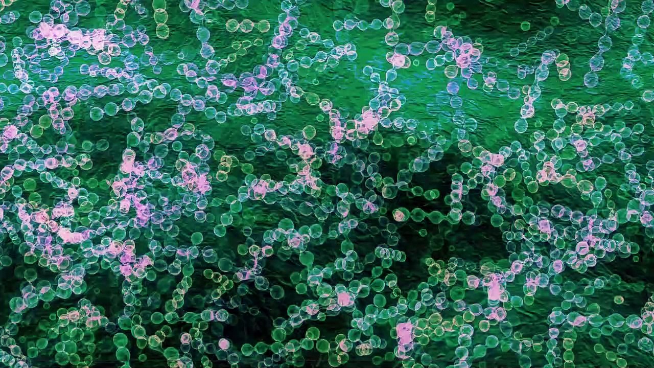 Les "bactéries mangeuses de chair" vont être de plus en plus fréquentes et les chercheurs expliquent la raison