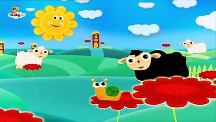 Baa Baa Black Sheep  | Nursery Rhymes - Songs for Kids  | @BabyTVChannel