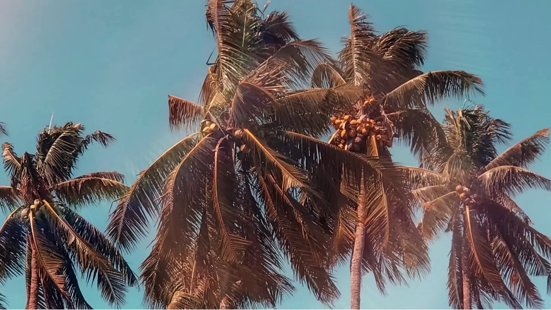 ⁣Upbeat Summer Happy Intro Travel Vlog Background Music