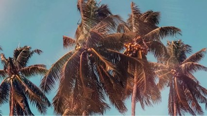 Upbeat Summer Happy Intro Travel Vlog Background Music