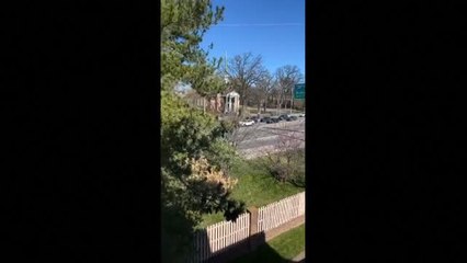 Descargar video: Al menos tres niños muertos en un tiroteo en una escuela cristiana de Nashville, EE.UU.