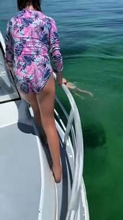 Like Father, Like Son Diving