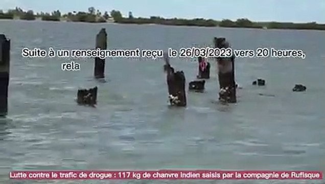 Gendarmerie : saisie de 117 kg de chanvre indien par la compagnie de Rufisque