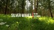 Silver Waves - TrackTribe- RnB Music, Soul Music, Chill Music, Calm Music @NCMstudio18