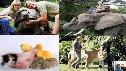 Sinh 11 - Bài 32 Tập tính của động vật (tiếp theo)