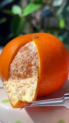 Only 3 IngrendientsCat Makes Orange Custard  Cat Cooking ASMR  Cute Cat TikTokShorts